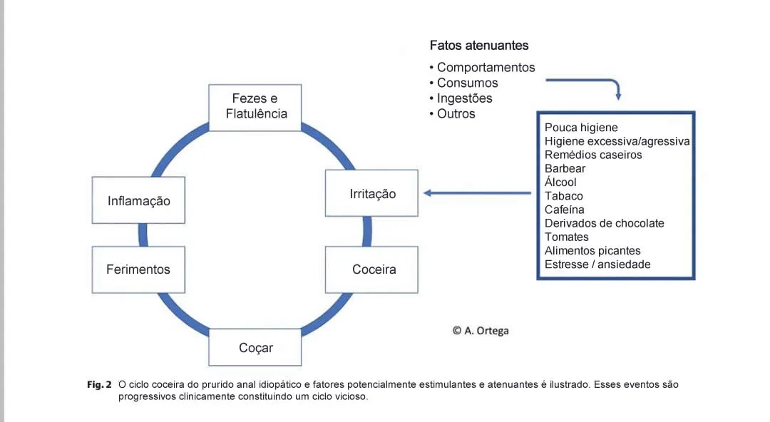 prurido-anal-ciclo